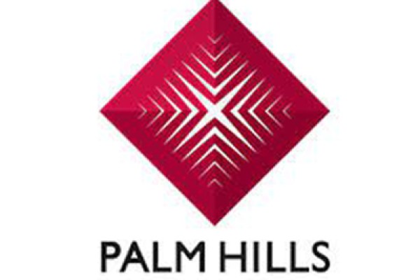 Palm Hills Developments